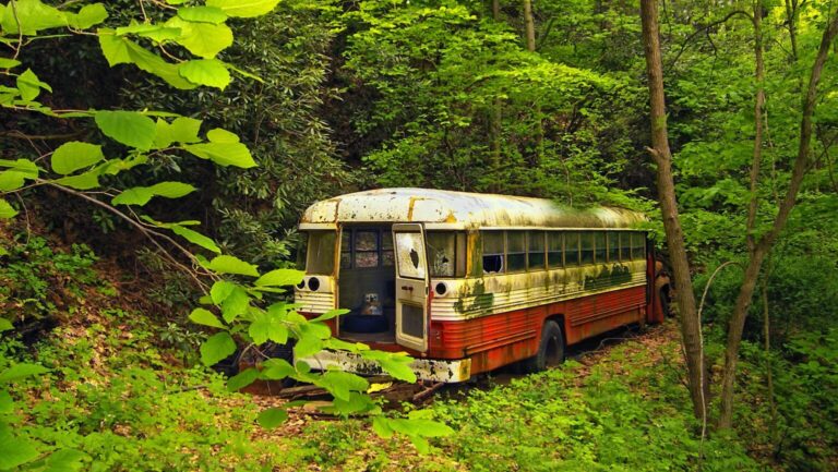 Bus in Natur