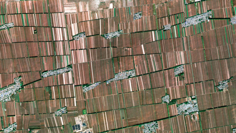 Fields